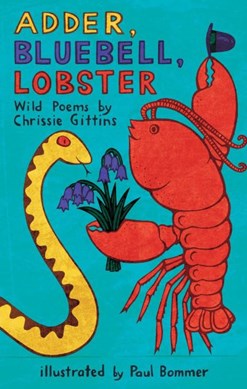 Adder, bluebell, lobster by Chrissie Gittins