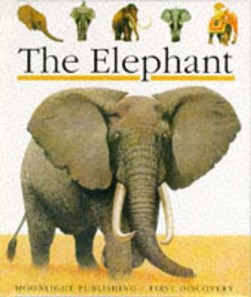 The elephant by James Prunier