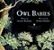 Owl Babies 25th Anniversary Ed Board Book by Martin Waddell