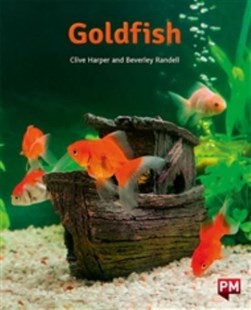 Goldfish by 