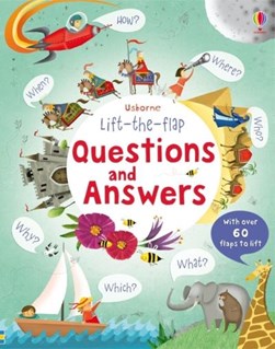 Lift The Flap Questions And Answers Board Book by Katie Daynes