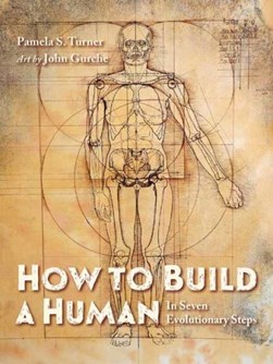 How to build a human by Pamela S. Turner