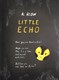 Little Echo by Al Rodin