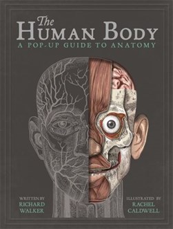 The human body by Richard Walker