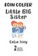 Little big sister by Eoin Colfer