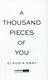 A thousand pieces of you by Claudia Gray