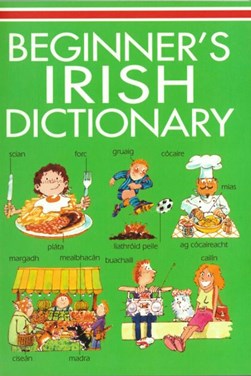 Beginners irish Dictionary P/B by Helen Davies