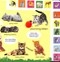 My First Baby Animals Lets Find Our Favourites Board Book by Dawn Sirett