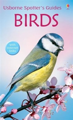 Birds by Peter Holden
