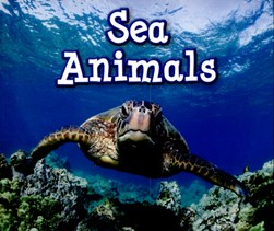 Sea animals by Siân Smith
