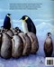 When penguins cross the ice by Sharon Katz Cooper
