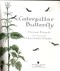 Caterpillar butterfly by Vivian French
