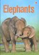 Elephants by James Maclaine