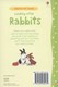 Looking after rabbits by Fiona Patchett