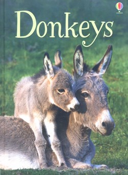 Donkeys by James Maclaine