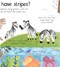 Why do tigers have stripes? by Katie Daynes