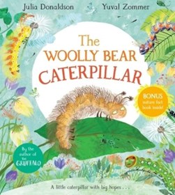 Woolly Bear Caterpillar P/B by Julia Donaldson