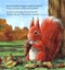 Rowan the red squirrel by Lynne Rickards