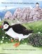 Where Are You Puffling A Skellig Adventure H/B by Erika McGann