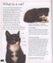 How to look after your pet cat by David Alderton
