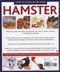 How to look after your hamster by David Alderton