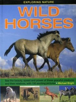 Wild horses by Michael Bright