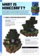 Minecraft for beginners by Stephanie Milton