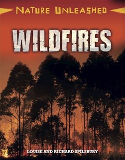Wildfires by Louise Spilsbury