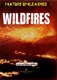 Wildfires by Louise Spilsbury