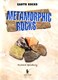 Metamorphic rocks by Richard Spilsbury