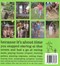 101 things for kids to do outside by Dawn Isaac