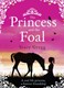 Princess And The Foal P/B by Stacy Gregg