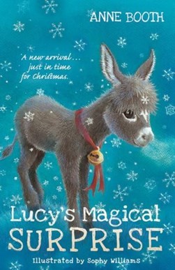 Lucys Magical Surprise P/B by Anne Booth
