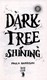 Dark tree shining by Paula Harrison