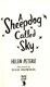 A sheepdog called Sky by Helen Peters