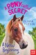 A Pony Called Secret by Olivia Tuffin