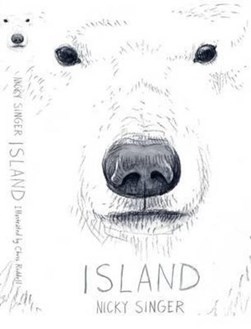 Island by Nicky Singer