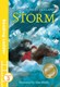 Storm by Kevin Crossley-Holland