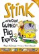 Stink and the great guinea pig express by Megan McDonald