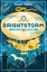 Brightstorm by Vashti Hardy