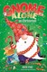 Gnome alone at Christmas by Nick Pine