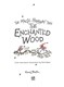 Magic Faraway Tree The Enchanted Wood Deluxe Edition Book 1 by Enid Blyton