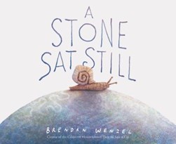 A stone sat still by Brendan Wenzel
