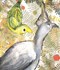 The Go-Away bird by Julia Donaldson