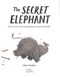The secret elephant by Ellan Rankin