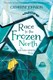 Race to the frozen north by Catherine Johnson