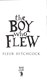 The boy who flew by Fleur Hitchcock