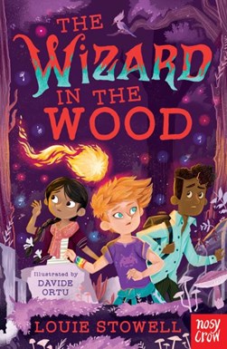 The wizard in the woods by Louie Stowell