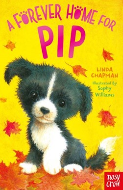 A forever home for Pip by Linda Chapman