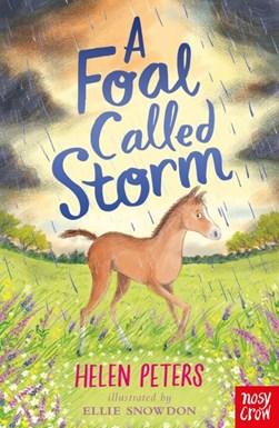 A foal called Storm by Helen Peters